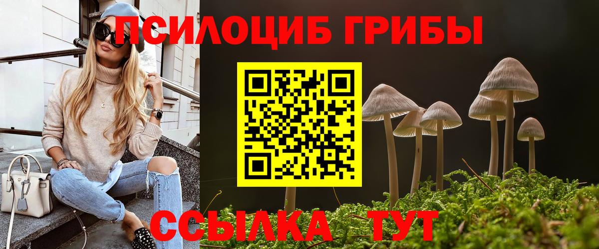 Псилоцибиновые грибы Psilocybine cubensis  как найти наркотики  Менделеевск  Вход с VPN 
