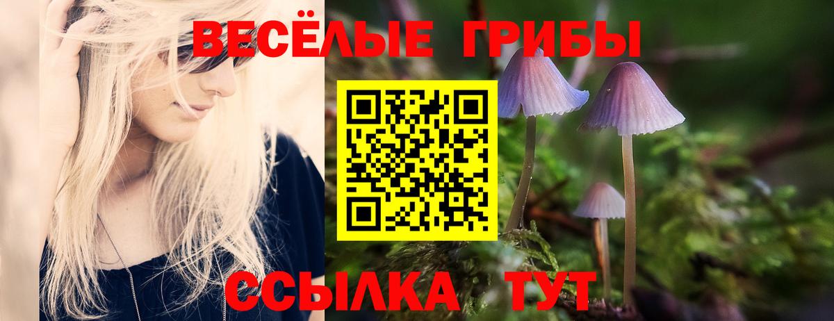 Галлюциногенные грибы мицелий Менделеевск